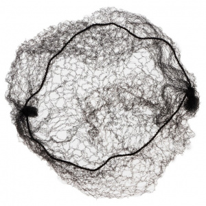 УТ-00071765